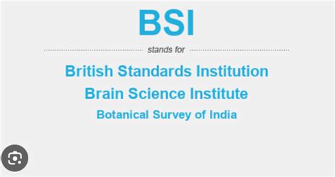 bsir full form